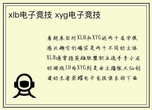 xlb电子竞技 xyg电子竞技